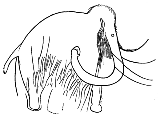 Caveman diet: data preservation of a woolly mammoth