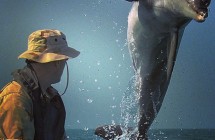 Dolphin with wearable computer?